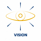 vision